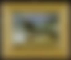 Shipwreck (preview)