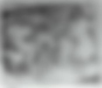 Freaks (preview)