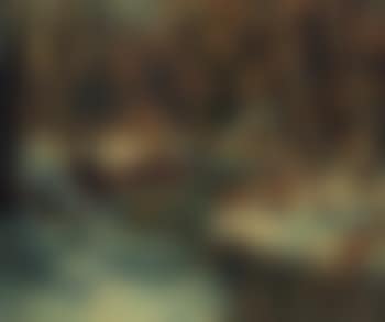 Sunlit glen (preview)