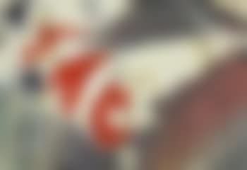 Scarpa - Shoe (preview)