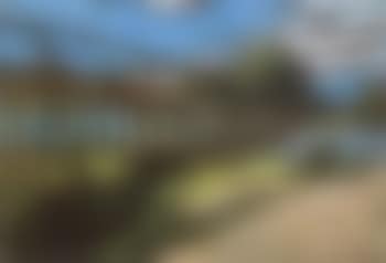 Landscape with wooden bridge (preview)