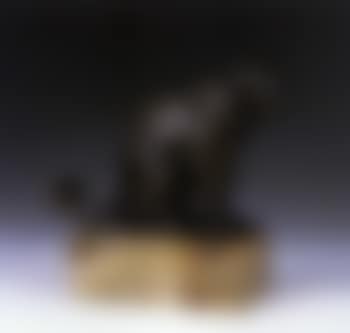 Jaguar assis (preview)