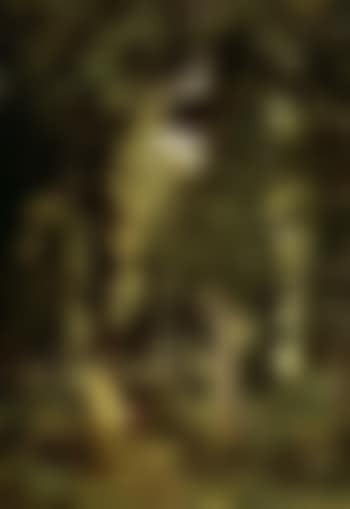 Two children in wood (preview)