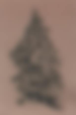 Snow-covered pine tree (preview)
