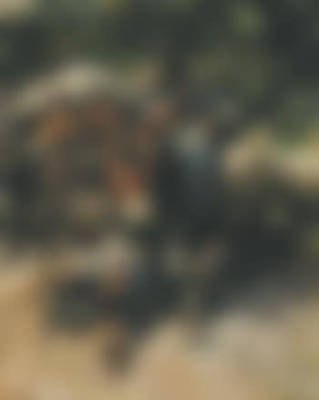 Shepherd with herd and pack-ass (preview)