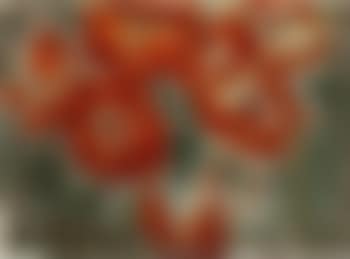 Poppies (preview)