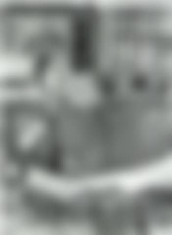 Le jardin devant l'atelier (preview)