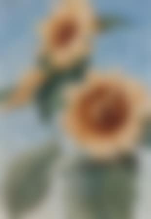 Sunflowers (preview)