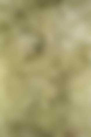 Fabric (preview)