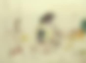 Untitled (preview)