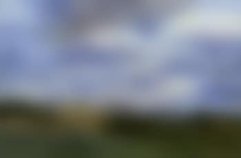 Dune landscape near Knokke (preview)