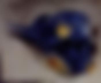 Bouquet bleu (preview)