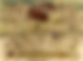 Punt (preview)