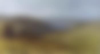 Landscapes (preview)
