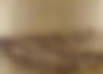 Panoramic view of Florence from below the church of San Miniato (preview)