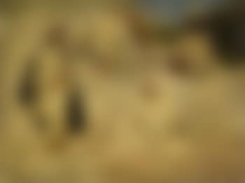 Etude de quatre figures arabes (preview)