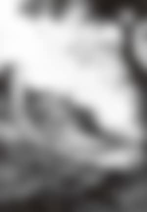 Rural landscape in Italian countryside (preview)