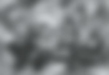 Allegorie de la Naissance du Dauphin (preview)