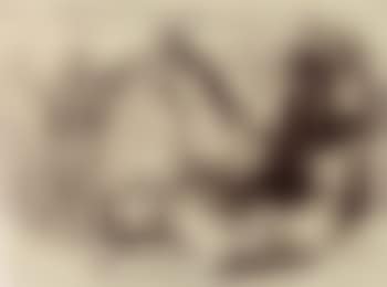 Figure studies (preview)