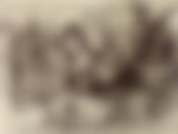 Studies after 'The brazen serpent' (preview)