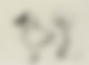 Dog (preview)