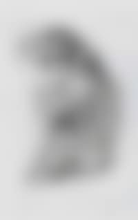 Liserl (preview)