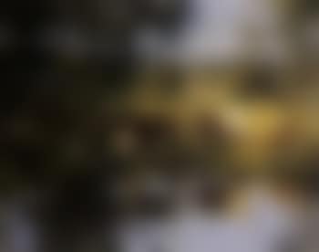 Vaches a la mare (preview)