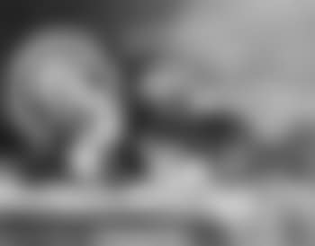 Two cats on a sideboard. Dogs (preview)