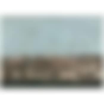 Busy harbour in front of the factories of Spain, America, Britain and the Netherlands (preview)