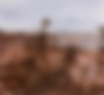 Juvenile birds, Bungle Bungles 1995 (preview)
