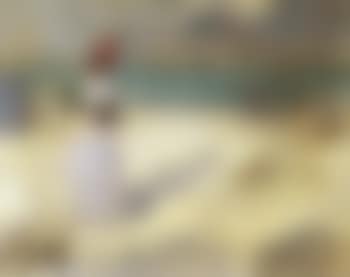 Plage de Trouville (preview)