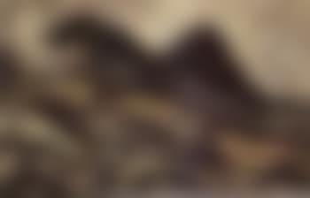 Yr Eifl (preview)