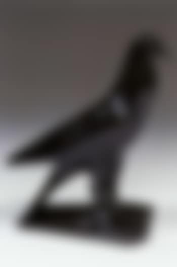 Pigeon Nicolas (preview)