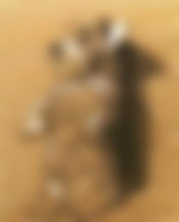 Absent minded beggar (preview)