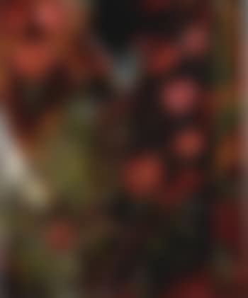 Branchage fleuris (preview)