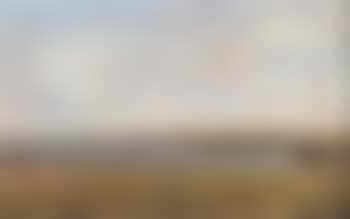 Beach meadows by Assens Naes (preview)