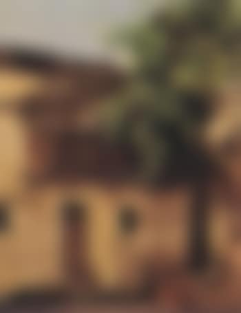 Southern European house with veranda and grape vine (preview)
