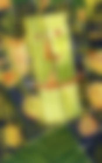 Green mask (preview)