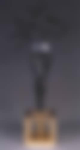 Surrealistic angel (preview)