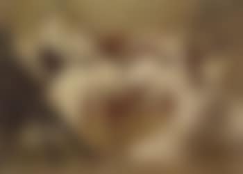 Scene de bordel (preview)