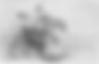 Study no 1-Mr Sponge,the . taking sets,the . never quaking, Surtees forever (preview)