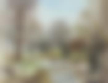 Trees and shrubs (preview)