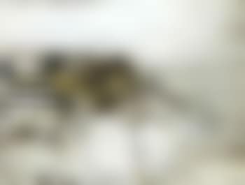 Florenville (preview)