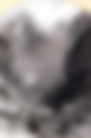 Trentathal (preview)