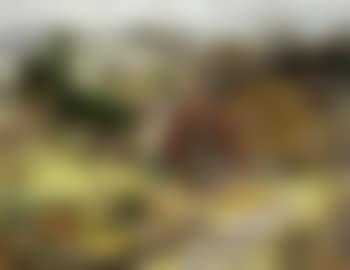 Trees and shrubs (preview)