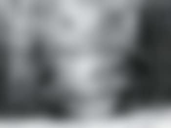 Don Valley (preview)