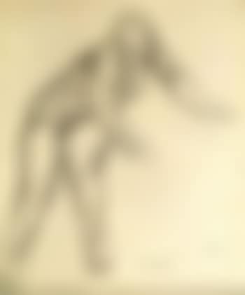 Nu (preview)