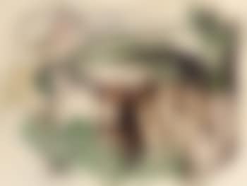 Tiere in der landschaft (preview)