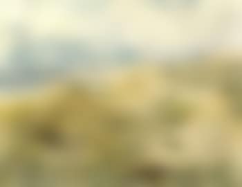 Cape Cod (preview)