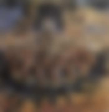 Kecak dance (preview)